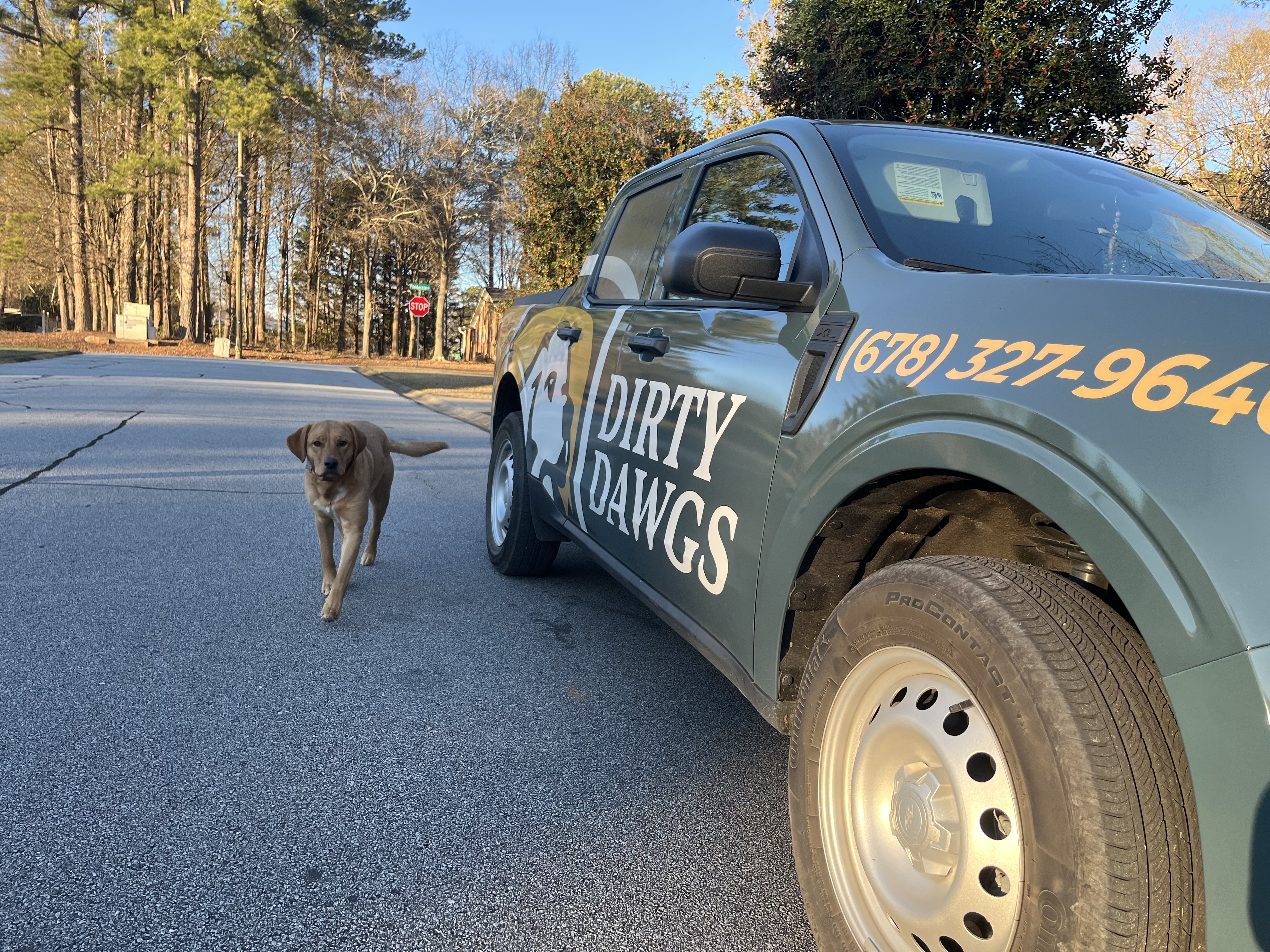 Dog with Dirty Dawgs truck